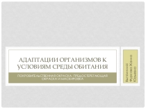 Адаптации организмов к условиям среды обитания