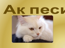 Презентация по татарскому языку на тему Ак песихикәясе буенча презентация
