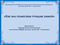 Как мы помогаем птицам зимой
