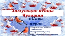 Зимующие птицы Чувашии
