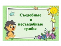 Съедобные и несъедобные грибы