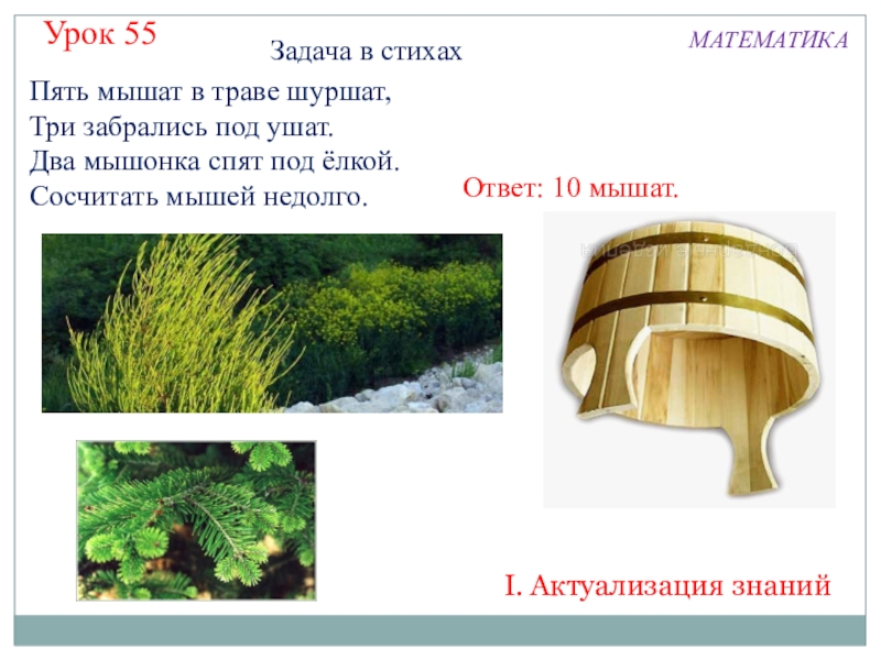 Презентация по математике на тему Числа 0-10 (1 класс) Пять мышат в траве шуршат,Три забрались под ушат.Два мышонка спят под Пять мышат в траве шуршат,Три забрались под ушат.Два мышонка спят под ёлкой.Сосчитать мышей недолго.Урок 55МАТЕМАТИКАЗадача в стихахI.