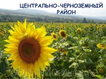Презентация по географии на тему Центрально-Черноземный район (9 класс)