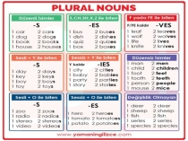 Plural and singular nouns and exceptions to the rules.