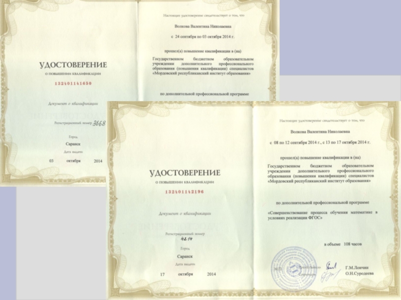 Презентация портфолио Волковой В.Н.