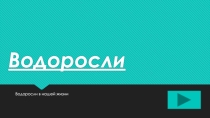 Презентация по биологии Водоросли