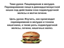 Презентация по теме: Пищеварение в желудке. Переваривание пищи в двенадцатиперстной кишке под действием сока поджелудочной железы и желчи печени.