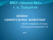Презентация проекта Кошки - удивительные животные