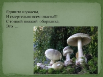 Презентация по окружающему миру на тему Бледная поганка(2 класс)