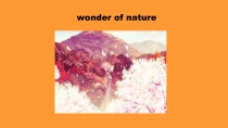 Презентация по английскому языку на тему  Wonders of nature