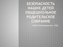 Классный час: Безопасность наших детей
