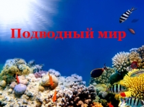 Презентация Подводный мир 1 класс
