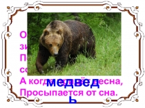 Изложение Как медведь готовится к зиме