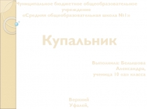 Презентация к проекту купальник