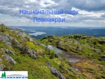 Презентация по географии на тему ООПТ Паанаярви