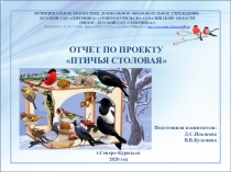 Презентация к отчету по проекту Птичья столовая в средней группе