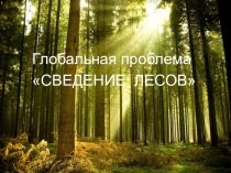 Презентация по географии Международный день леса