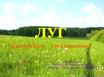 Презентация 4 класс по окружающему миру на тему : Луг