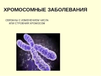 Презентация по биологии на тему Хромосомные заболевания