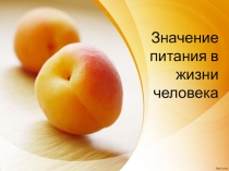 Презентация к уроку СБО Значение питания в жизни человека