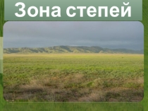 Окружающий мир Тема: Зона степей