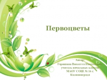 Презентация к уроку окружающий мир по теме: Берегите первоцветы