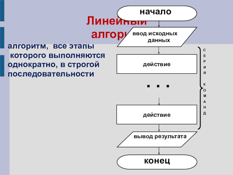 Презентация по информатике Виды алгоритмов Линейный алгоритмалгоритм, все этапы которого выполняютсяоднократно, в строгой последовательности Линейный алгоритмалгоритм, все этапы которого выполняютсяоднократно, в строгой последовательности