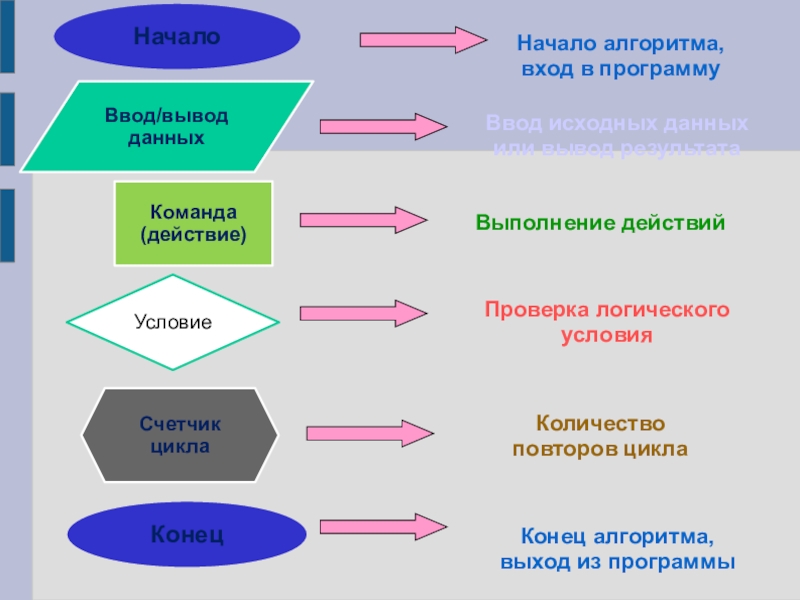 Презентация по информатике Виды алгоритмов Начало алгоритма, вход в программуКонец алгоритма, выход из программыВвод исходных данных Начало алгоритма, вход в программуКонец алгоритма, выход из программыВвод исходных данных или вывод результатаВыполнение действийПроверка логического условияКоличество