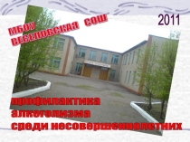 Презентация Работа образовательного учреждения по профилактике алкоголизма среди несовершеннолетних: практика, проблемы, решения