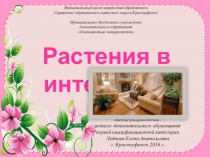 Презентация к конспекту  Комнатное цветоводство. Растения в интерьере.