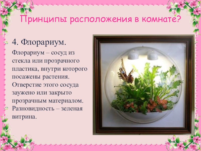 Презентация к конспекту Комнатное цветоводство. Растения в интерьере. Принципы расположения в комнате?4. Флорариум.Флорариум – сосуд из стекла или прозрачного Принципы расположения в комнате?4. Флорариум.Флорариум – сосуд из стекла или прозрачного пластика, внутри которого посажены растения. Отверстие