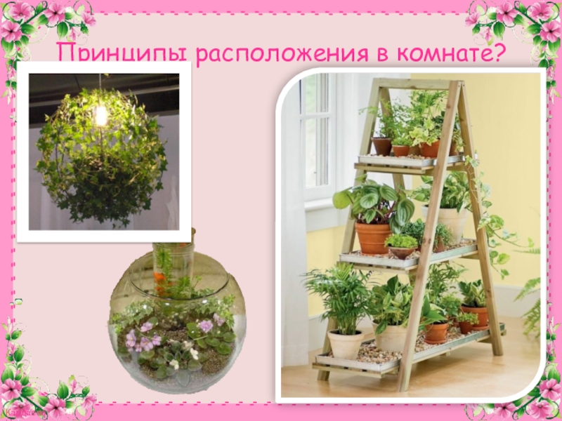 Презентация к конспекту Комнатное цветоводство. Растения в интерьере. Принципы расположения в комнате? Принципы расположения в комнате?