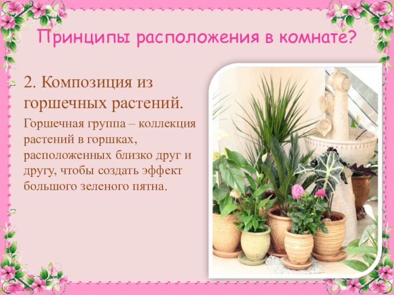 Презентация к конспекту Комнатное цветоводство. Растения в интерьере. Принципы расположения в комнате?2. Композиция из горшечных растений.Горшечная группа – коллекция Принципы расположения в комнате?2. Композиция из горшечных растений.Горшечная группа – коллекция растений в горшках, расположенных близко друг