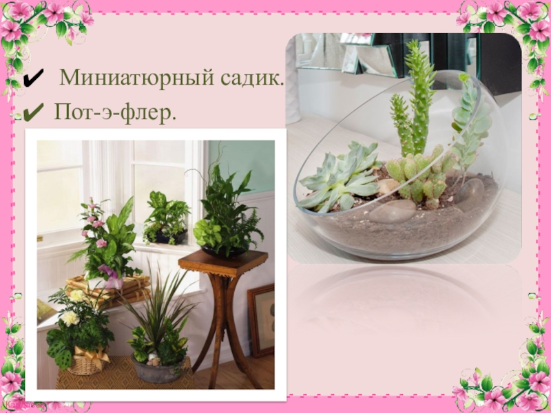 Презентация к конспекту Комнатное цветоводство. Растения в интерьере. Миниатюрный садик.Пот-э-флер. Миниатюрный садик.Пот-э-флер.