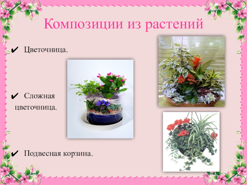 Презентация к конспекту Комнатное цветоводство. Растения в интерьере. Композиции из растенийЦветочница. Сложная цветочница.Подвесная корзина. Композиции из растенийЦветочница. Сложная цветочница.Подвесная корзина.