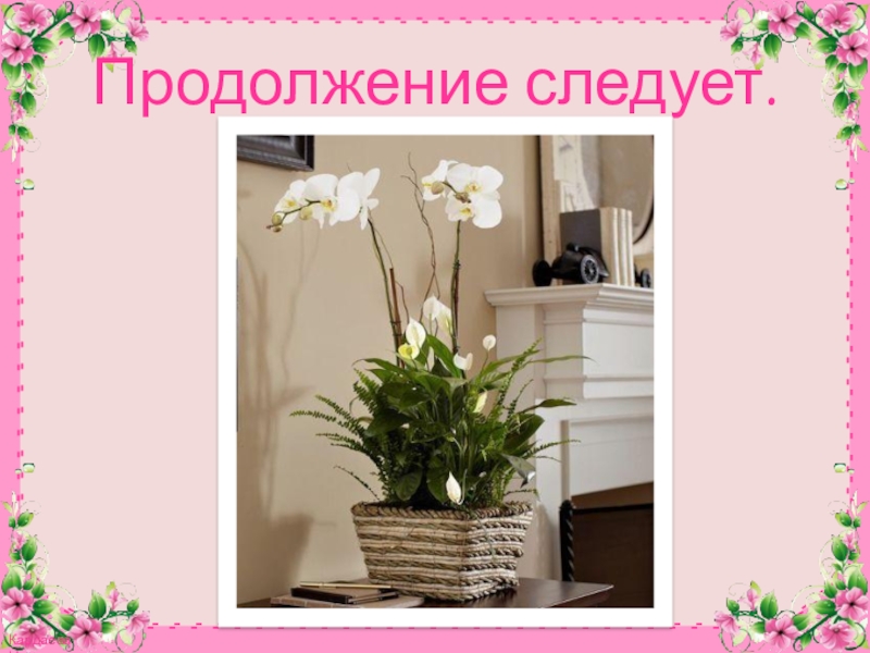 Презентация к конспекту Комнатное цветоводство. Растения в интерьере. Продолжение следует. Продолжение следует.