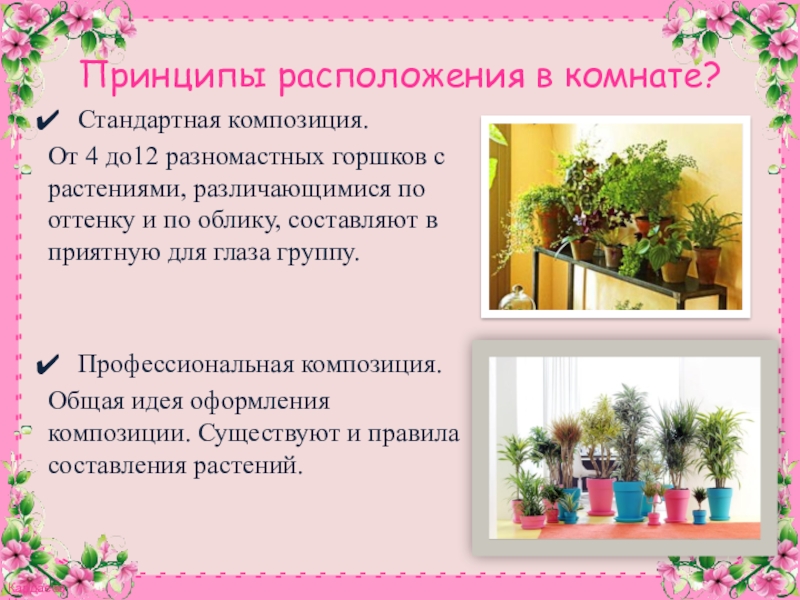 Презентация к конспекту Комнатное цветоводство. Растения в интерьере. Принципы расположения в комнате?Стандартная композиция.От 4 до12 разномастных горшков с растениями, Принципы расположения в комнате?Стандартная композиция.От 4 до12 разномастных горшков с растениями, различающимися по оттенку и по облику,