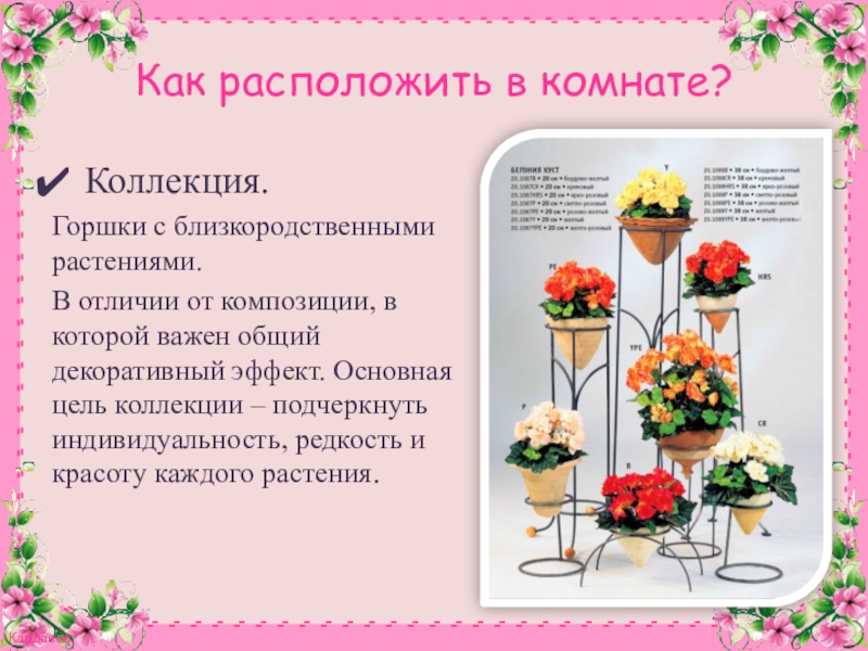 Презентация к конспекту Комнатное цветоводство. Растения в интерьере. Как расположить в комнате?Коллекция.Горшки с близкородственными растениями. В отличии от композиции, Как расположить в комнате?Коллекция.Горшки с близкородственными растениями. В отличии от композиции, в которой важен общий декоративный эффект.
