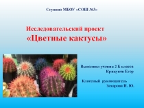 Презентация к исследовательской работе Цветные кактусы (2 класс)