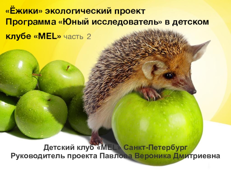Ёжики экологический проект 2 часть. Программа Юный исследователь в детском клубе MEL