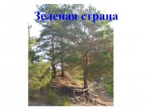Окружающий мир. Сценарий урока и презентация Эти удивительные растения
