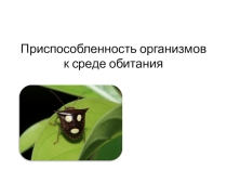 Презентация Приспособленность организмов к среде обитания