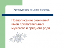 Презентация по русскому языку на тему Правописание окончаний имён прилагательных