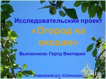 Исследовательский проект Огород на окошке