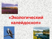 Презентация по экологии Экологический калейдоскоп