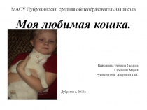 Статья Моя любимая кошка