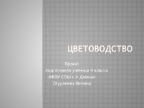 Проекты 4 класса по окружающему миру