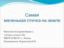 Презентация Самая маленькая птичка на Земле