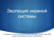 Презентация по биологии на тему Эволюция нервной системы животных