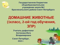 Презентация коррекционно-развивающего занятия Домашние животные (1 класс, ЗПР)